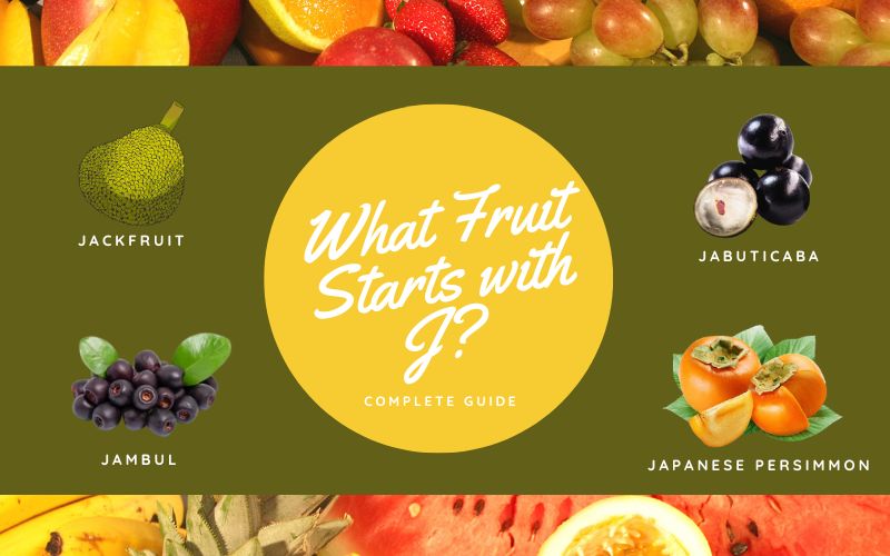 What Fruit Starts with J