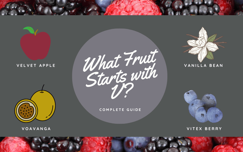 What Fruit Starts with V