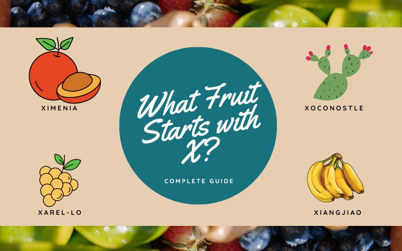 What Fruit Starts with X